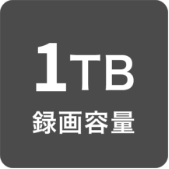 1BT 録画容量